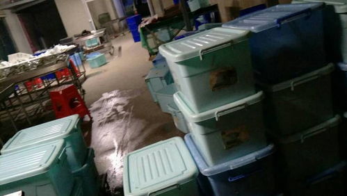 一站式業(yè)務(wù)轉(zhuǎn)讓 廚師配套、消毒餐具設(shè)備及辦公用品全包